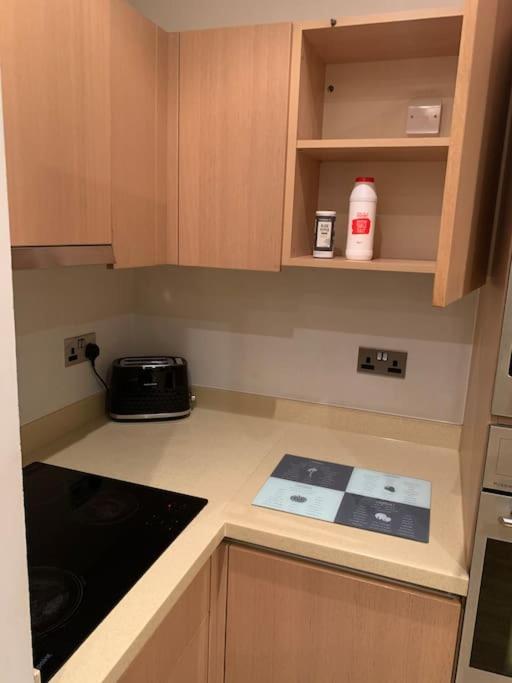 Stunning 2 Bed Flat! Centrally Located In London, Uk! Kültér fotó
